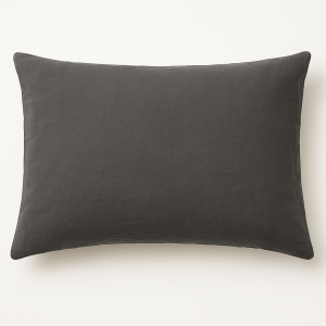 Prevleka za vzglavnik Lan Antracit